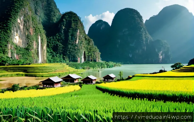 Cách thúc đẩy tự học trong đào tạo dựa trên kỹ năng: khung triển khai và tiêu chí chọn công cụ 4 스킬 기반 교육 모델에서의 자율 학습 촉진 방법 관련 이미지 2